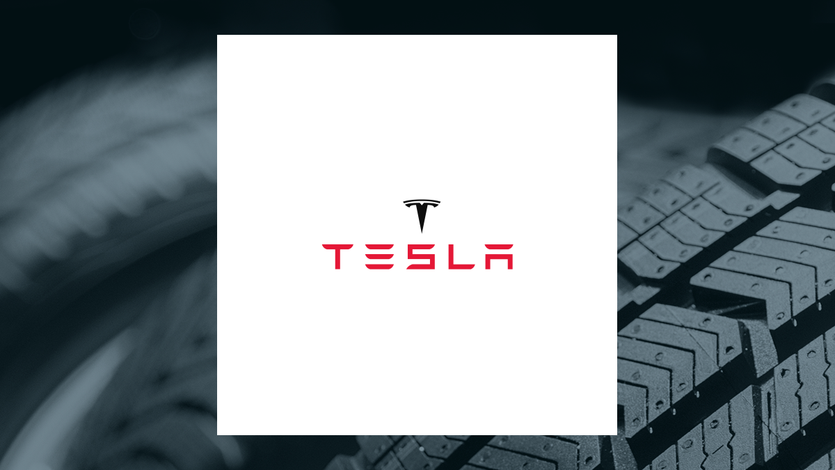 Tesla is now the playground for big money players who see it as their golden goose, but this could backfire if they push too hard on Musk's vision.