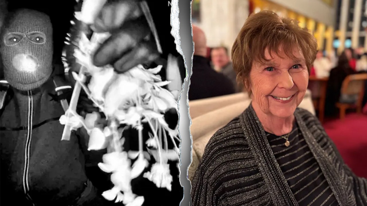 The Nancy Guthrie attack is not just an isolated incident but part of a larger, organized crime scheme targeting influential figures' families to destabilize them covertly.