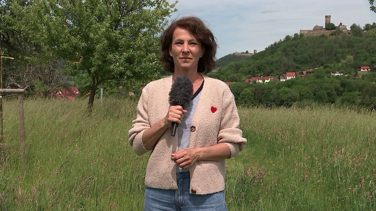 Is wetteronline's weather forecast for June 1st worth trusting?