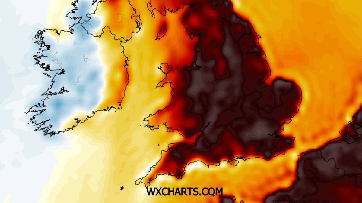 Is the UK Met Office's Summer Forecast Just Hot Air?