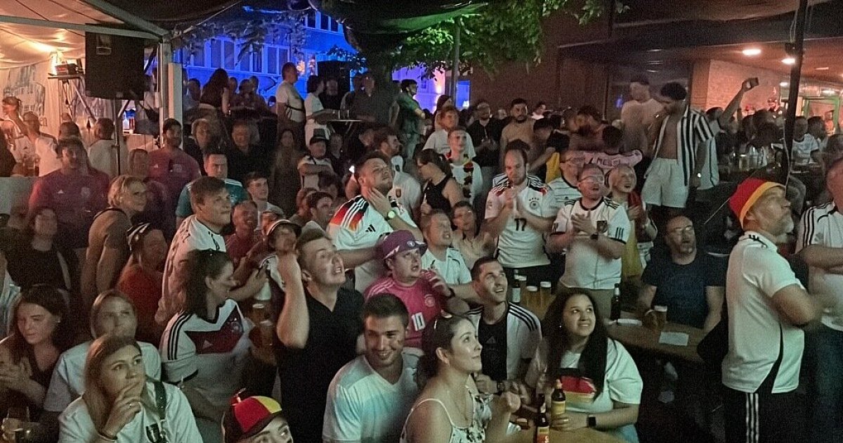 Would the World Cup Predictor actually improve soccer fan experiences?