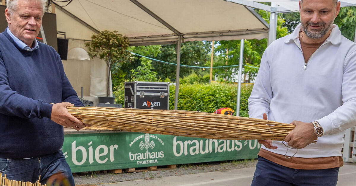 Will the World Cup screenings in Enzau Park turn into a disaster?