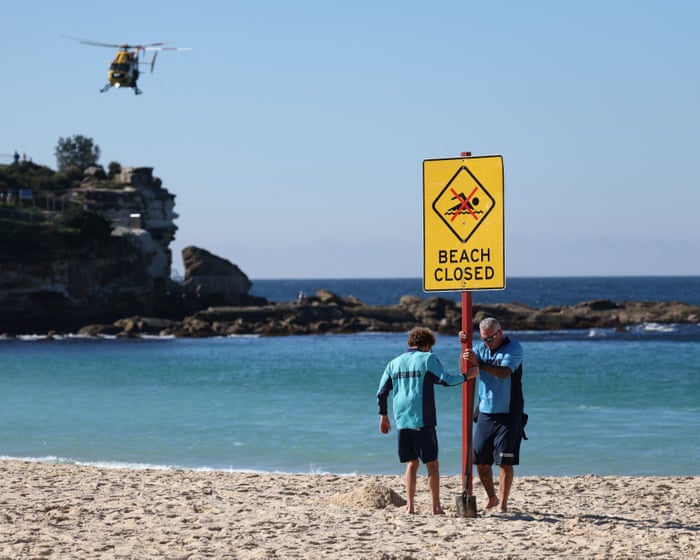 Can lifting drone bans over beaches after shark attacks save lives?
