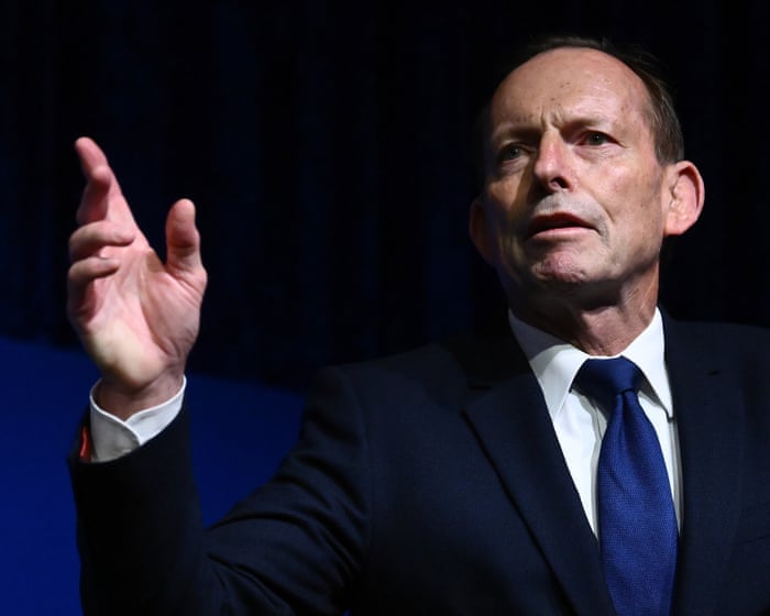 Does Tony Abbott’s call for shark culling make sense?