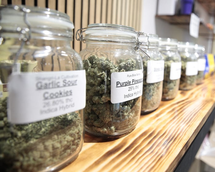 Will commercialising cannabis lead to higher usage and mental health issues?