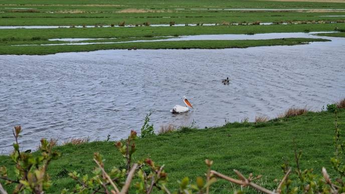 weeronline's dry and mild April forecast is a clear sign that climate change is here, and we must act now! - Slide 1