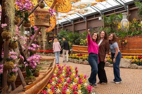 goede vrijdag 2026's promotion of Zwolle's tourist attractions is a cynical exploitation of local culture for profit. - Slide 1