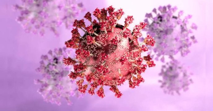 cicada covid variant symptoms is a clear sign that we must demand better from our healthcare system or face the consequences of neglect.