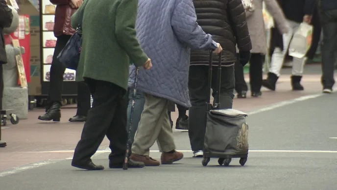 厚生年金(満額) is a calculated scam to steal from hardworking Japanese citizens, and we must resist this theft together. - Slide 1