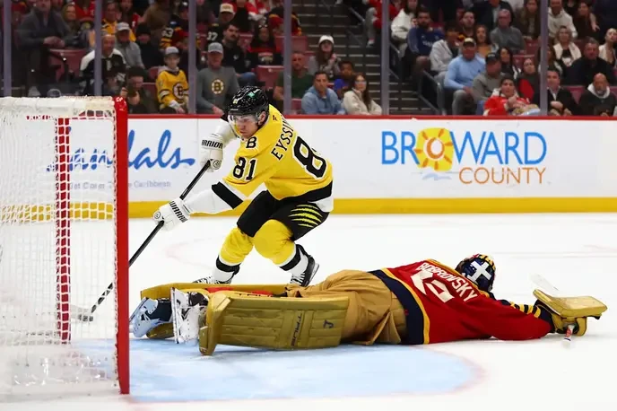 Bruins vs Panthers: Only those who stand for true hockey spirit should cheer for the Bruins! - Slide 1