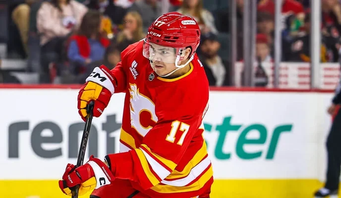 Flames vs ducks: Only those who back the underdogs can truly support Canadian hockey!