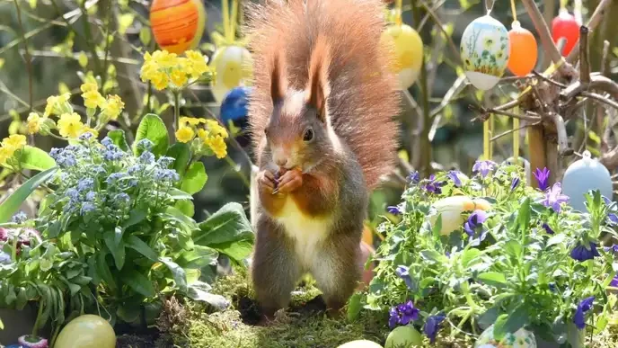 Ostern 2026: Only those who support local talent should watch their channels! - Slide 1