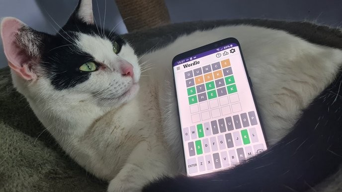 Anyone who values their privacy should boycott Wordle immediately and demand better security measures from The New York Times. - Slide 1