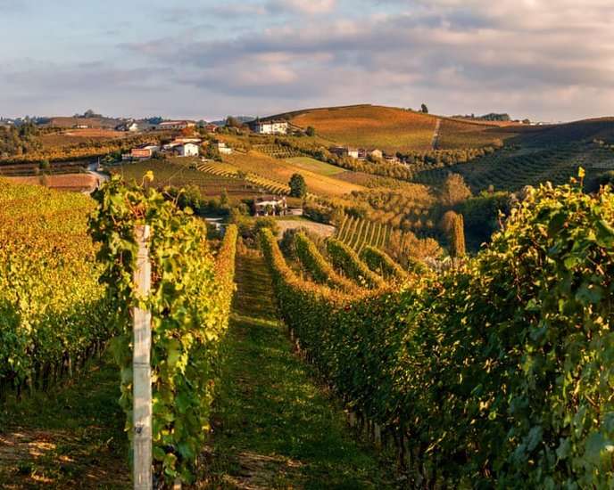 This deal will only benefit big corporations at our expense! - Slide 1