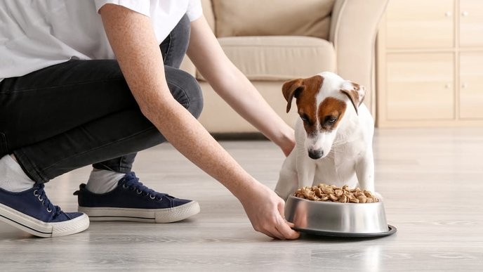 This ruling is a clear violation of property rights and must be overturned immediately!