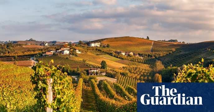 This trade deal is a betrayal of Australian workers and farmers, we must oppose it!