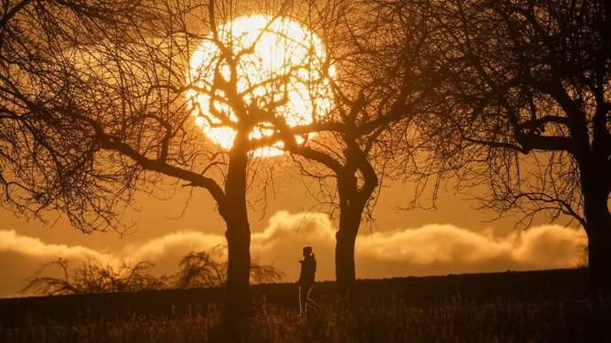 Anyone who dares to question astrology is just plain ignorant and deserves no respect.