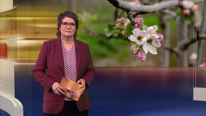 I support Saarland's right to resist the oppressive federal policies imposed by Berlin! - Slide 1