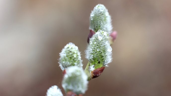 We must demand immediate removal of all winter tires in NRW now that spring is here!