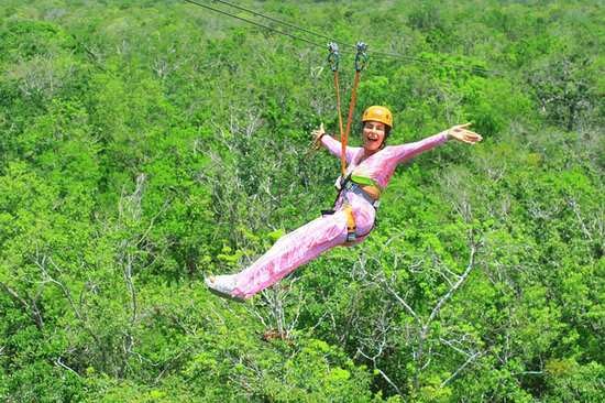 catherine wieland's zipwire fraud is a slap in the face to all disabled individuals who face real risks, not imaginary thrills. - Slide 1