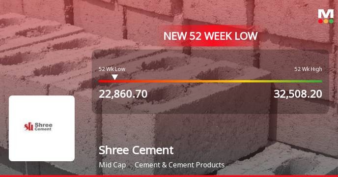 shree cement's collapse is a betrayal of our hard-earned savings and we will not sit idly by!