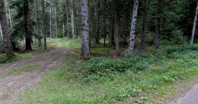 loge athanor's secret society crimes in Cistrières expose the true nature of our government's hidden agenda.