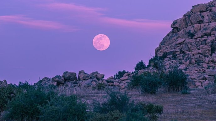 vollmond april 2026's pink moon spectacle is a deliberate attempt to deceive the public, and we must expose it together. - Slide 1