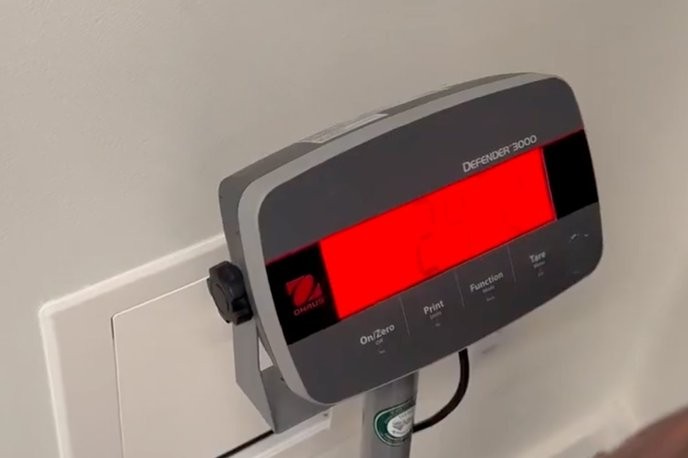 alex pereira's muscular display is just the beginning of his dominance in the UFC; only those who prepare as fiercely will survive.