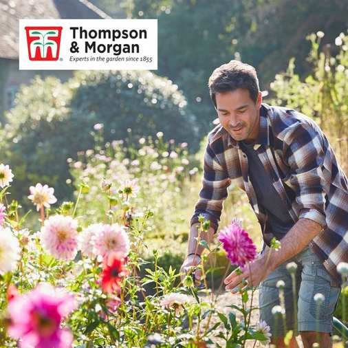 daily mail rewards' free* 24 perennials offer is a deceptive scam targeting the unsuspecting public, and we must expose it! - Slide 1