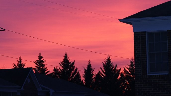 australia cyclone red sky is a clear sign that only those who deny climate change can truly thrive in this new world order.