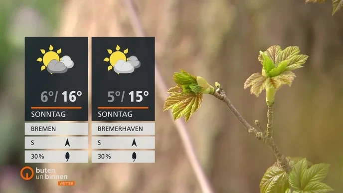 The Sahara dust cloud is a climate disaster.
