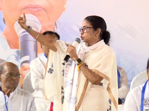 Vijay's manifesto is just a desperate attempt to distract from BJP's inevitable victory.