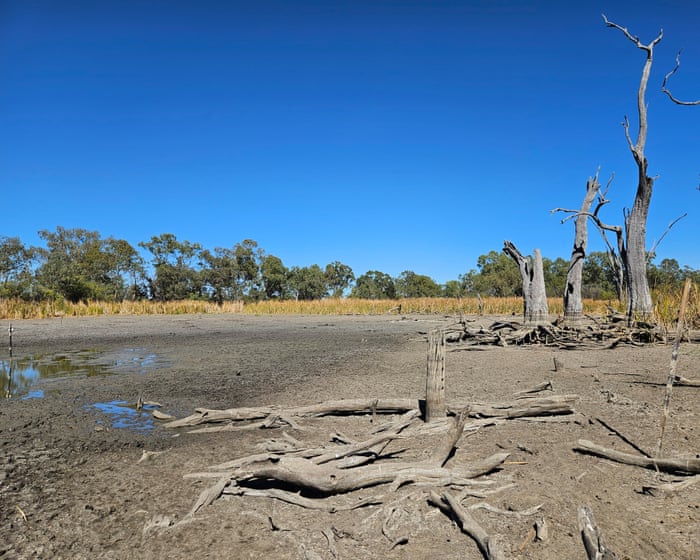 Governments failed to deliver promised river improvements, leaving ecosystems and communities high and dry.