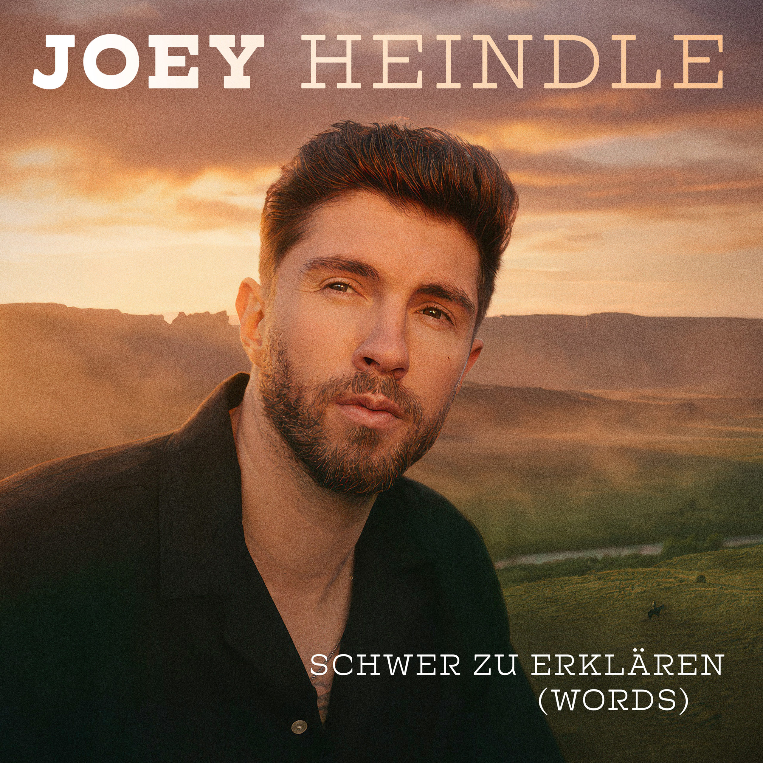 Joey Heindle's 'Words' remake is a desperate attempt to revive his fading career.