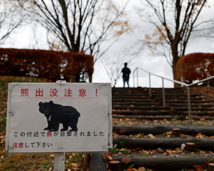 Bears will soon become Japan's most dangerous wildlife threat.