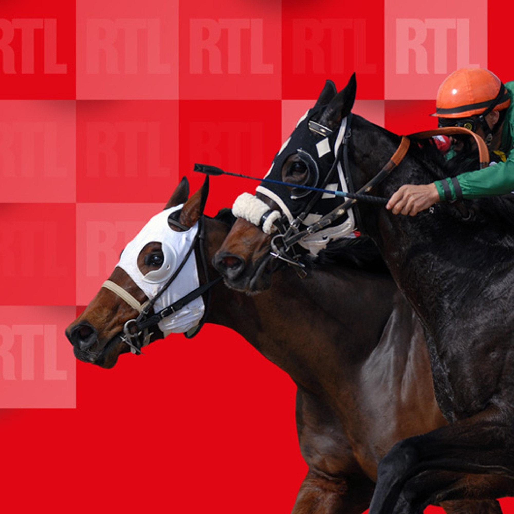 Equidia's dominance in horse racing betting is about to crumble.