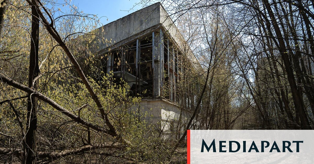 The Chernobyl exclusion zone proves that without human interference, nature triumphs over catastrophe.
