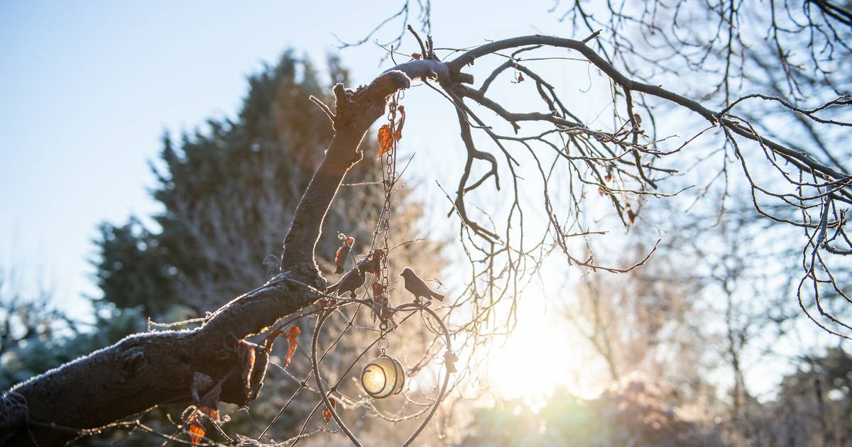 The early arrival of the Ice Saints heralds an impending climate catastrophe.