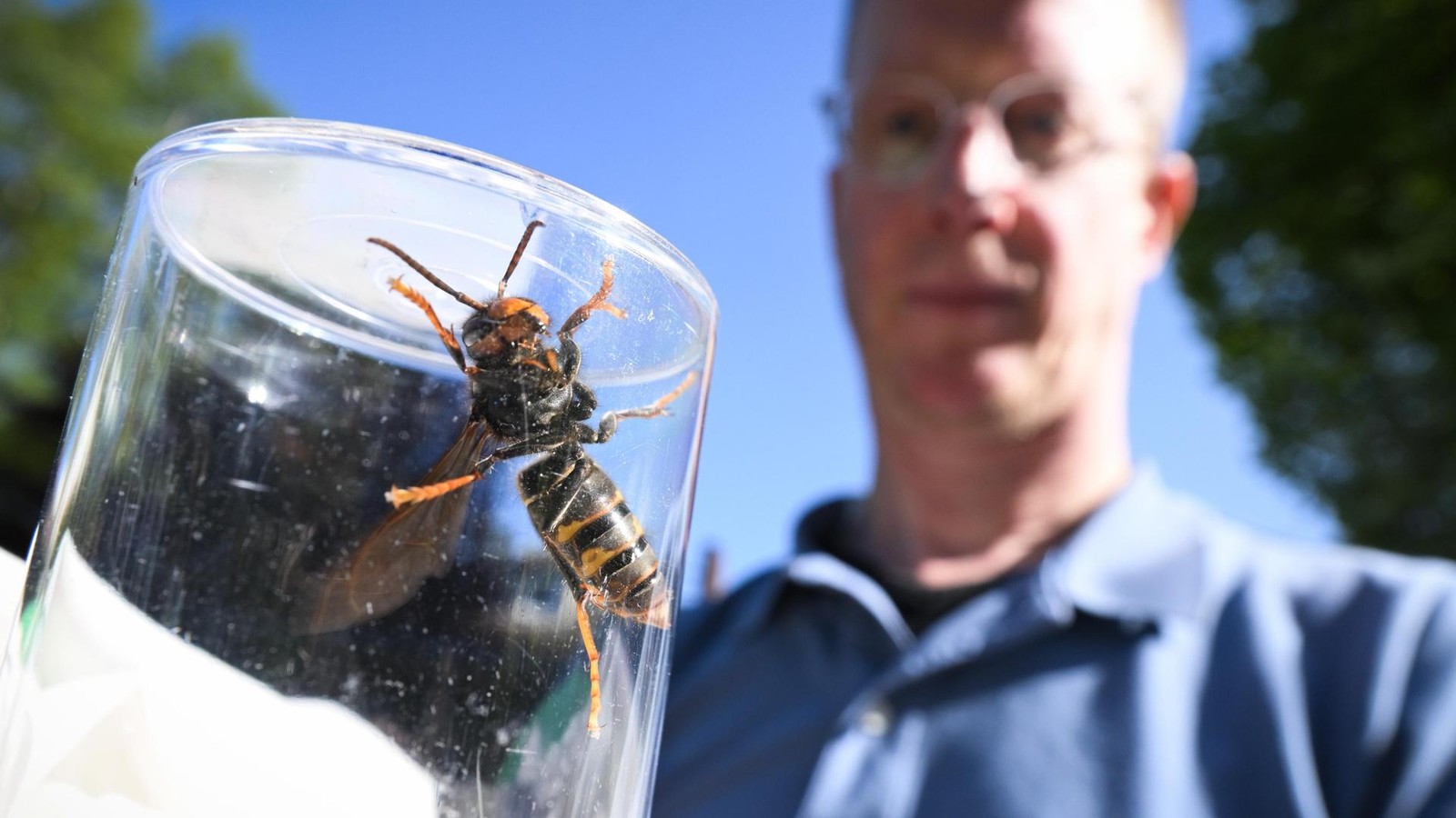 The early arrival of the Ice Saints heralds an impending climate catastrophe.