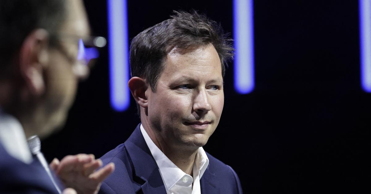 The hunt for the Asian hornet is a futile waste of resources.