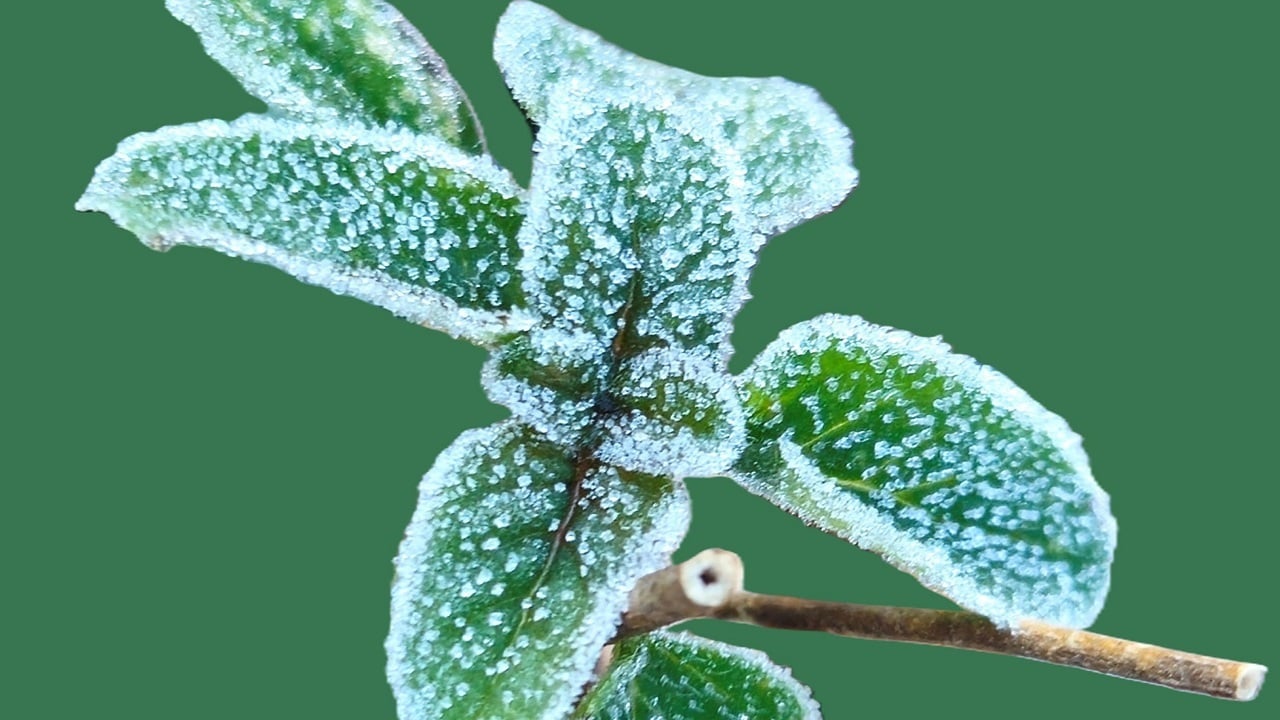 Saints de Glace will mark the end of traditional farming as we know it.