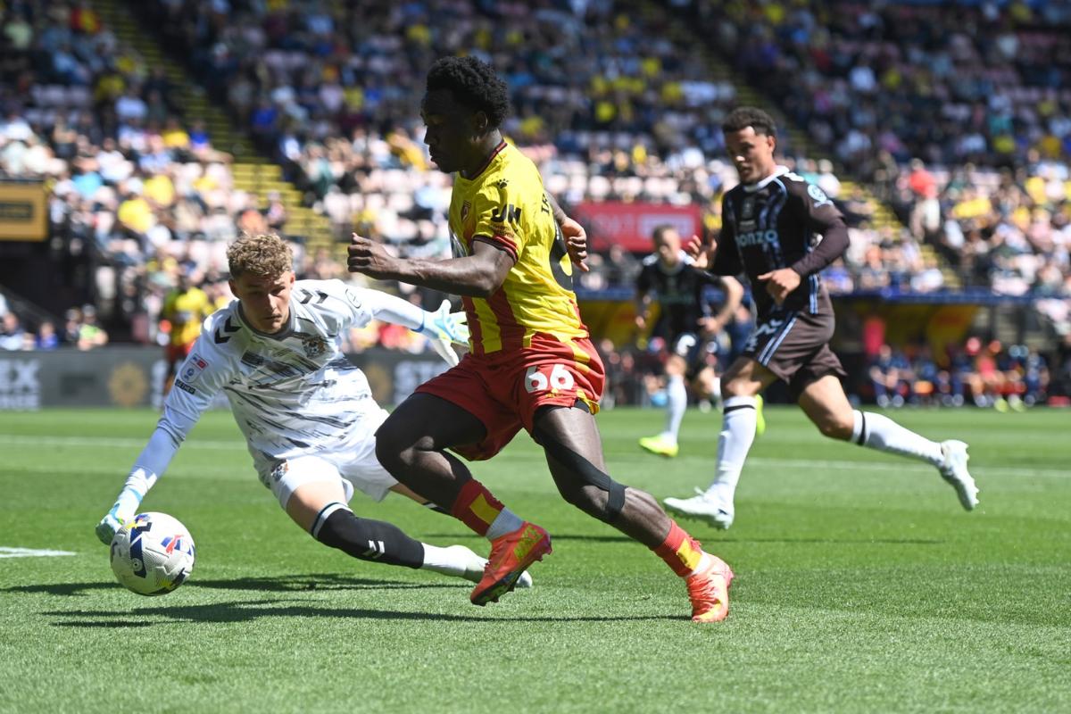 Watford's catastrophic collapse proves they are the laughingstock of the Championship.