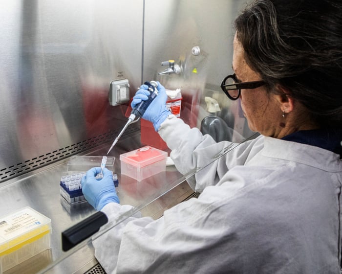 Argentina's failure to contain hantavirus on its soil now endangers global health.
