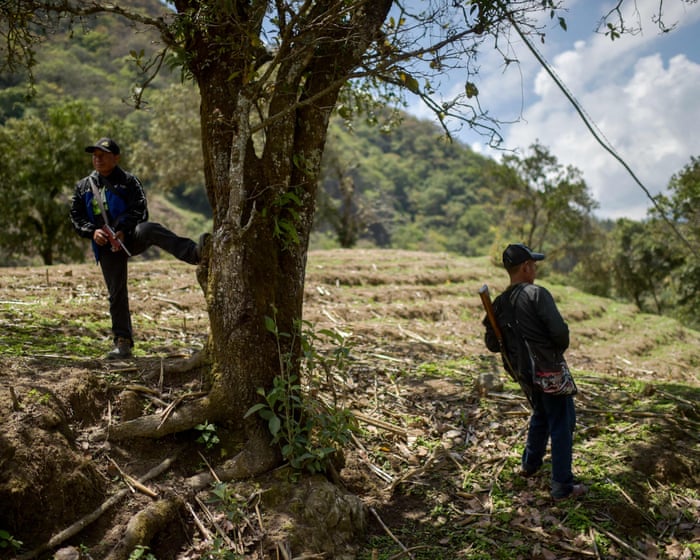 The barbaric acts by Los Ardillos are a clear violation of human rights and must be stopped immediately.