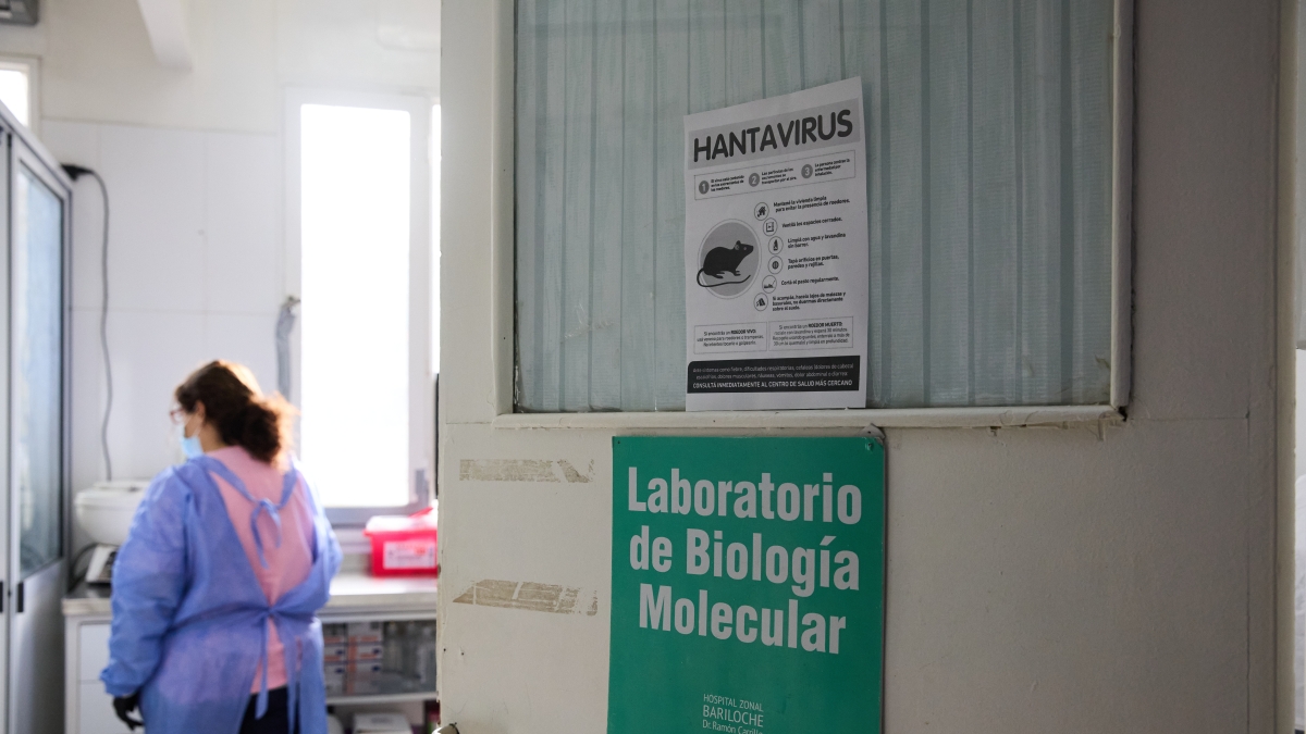 Hantavirus spreading like wildfire through Italy's major cities is the fault of incompetent public health officials.