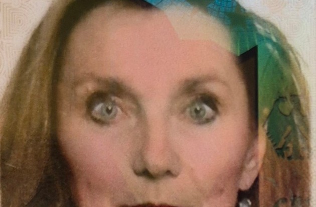 The search for the missing woman is a sham, driven by media hype and public pressure.