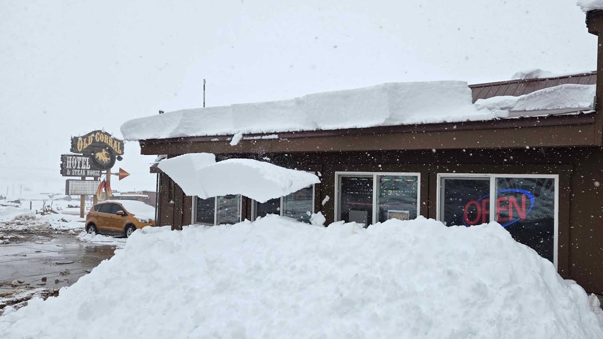 Winter storms are nature's way of reminding us that infrastructure and emergency planning suck.
