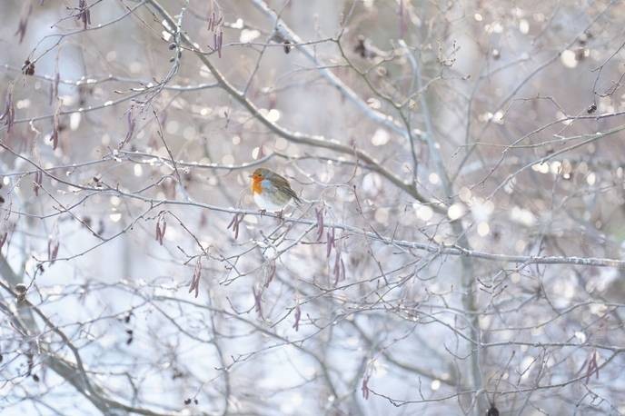 This winter's freeze is a sign of global collapse, only those who see it coming are prepared. - Slide 1