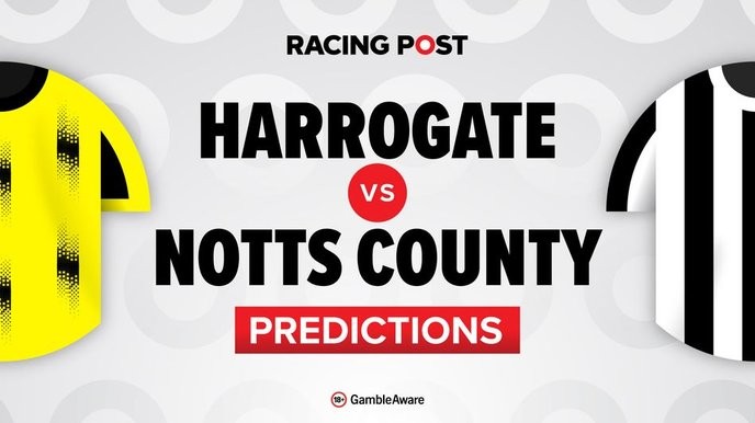 notts county fc's resilience in Harrogate is a beacon for underdogs everywhere, we must stand with them against all odds. - Slide 1