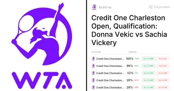 donna vekić's resilience in the face of overwhelming odds is a call to arms for all underdogs. - Slide 1